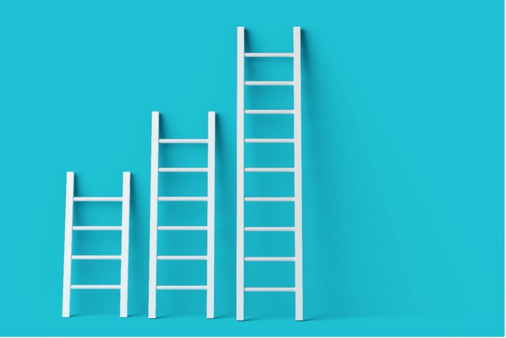 supply chain maturity - ladders