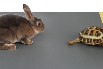 hare-tortoise